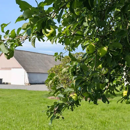 With A Scenic Location Oster Assels